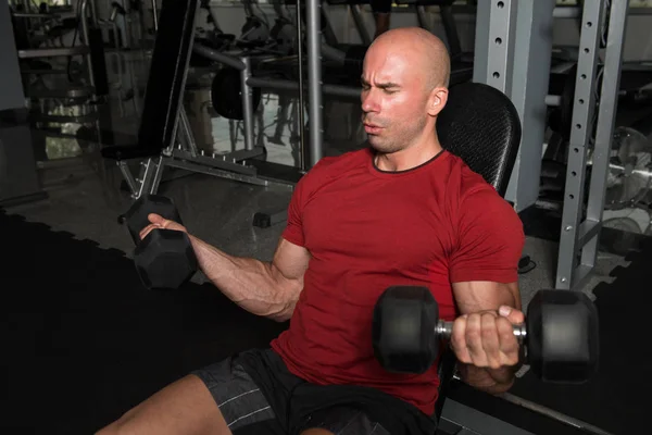 Biceps cvičení s činkami v posilovně — Stock fotografie