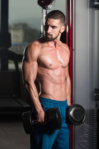 Man With Dumbbells Exercising Biceps — Stock Photo, Image