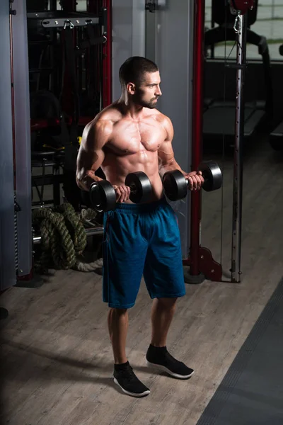 Bicepsz edzés edzőterem súlyzók — Stock Fotó