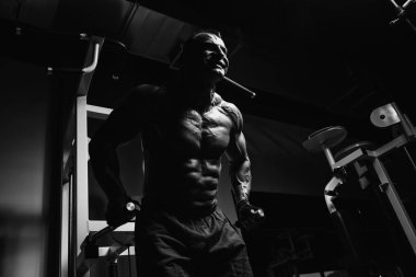 Triceps ve göğüs egzersiz paralel Bar