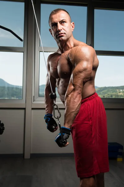 Bodybuilder Exercising Triceps — Stock Photo, Image