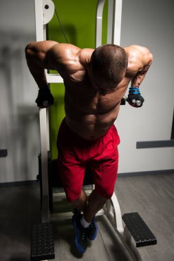 Triceps ve göğüs egzersiz paralel Bar