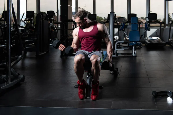 Atleet trainen biceps in een fitnessruimte - Dumbbell Concentration Cur — Stockfoto