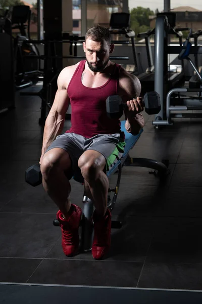 Athlète travaillant Biceps dans une salle de gym - Haltère Concentration Cur — Photo