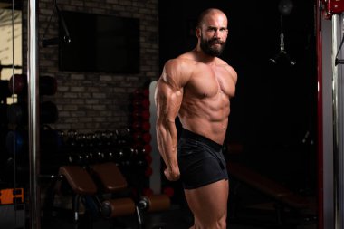 Yakışıklı Genç Adam Spor Salonunda Güçlü Duruyor ve Kaslarını Geriyor - Kas Atletik Vücut Geliştirici Spor Sonrası Spor Pozisyonu