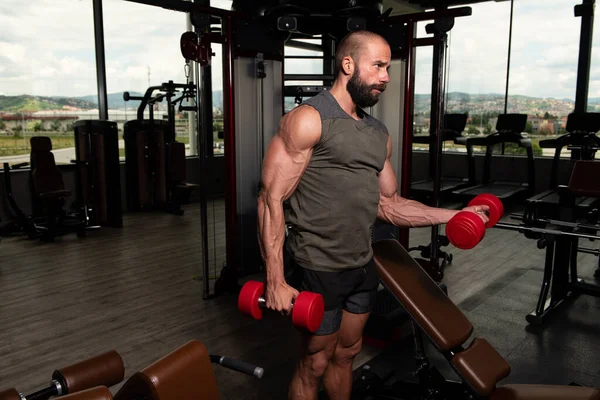 Man Werkt Uit Biceps Een Fitnessruimte Dumbbell Concentratie Krullen — Stockfoto