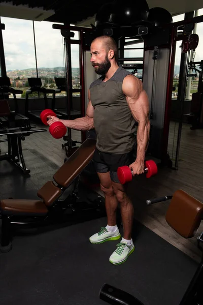 Healthy Man Working Out Biceps Dark Gym Dumbbell Concentration Curls — Stock Photo, Image