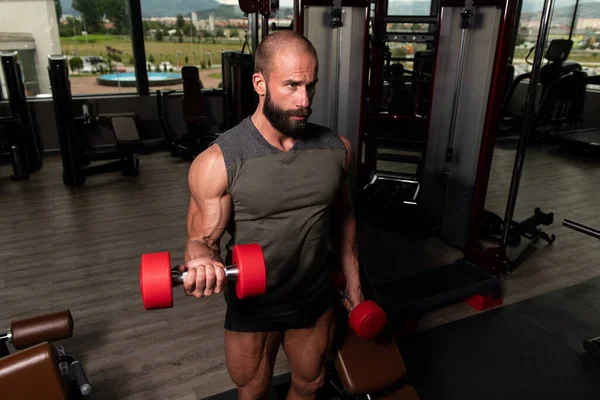 健康的男人在黑暗的健身房里锻炼二头肌 哑铃式的集中曲线 — 图库照片