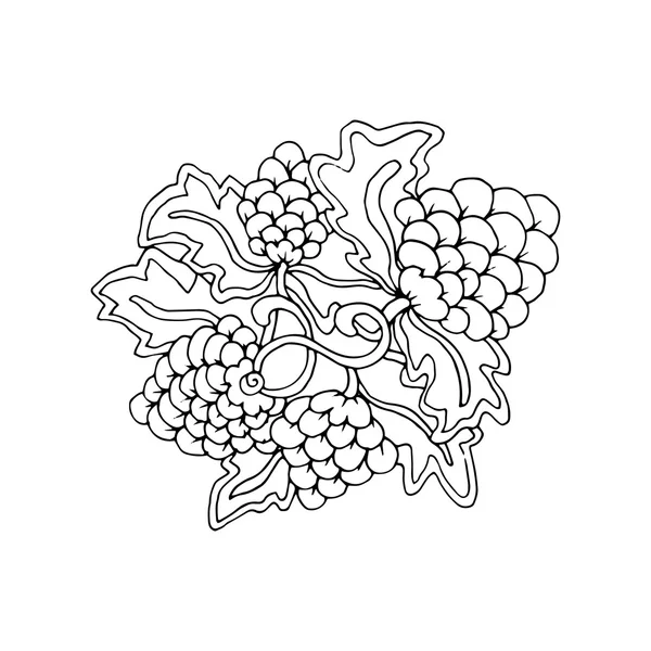 Elemento de arte de línea de fruta con adorno floral . — Vector de stock