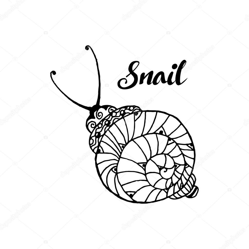 Doodle style fun lacy snail