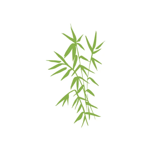 Illustration de plante de bambou — Image vectorielle