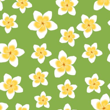 Plumeria çiçek seamless modeli