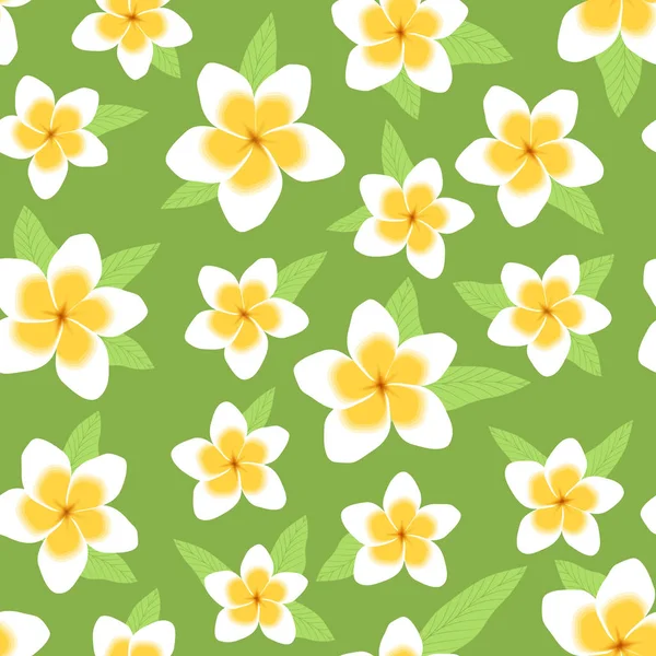 Plumeria fleurs motif sans couture — Image vectorielle