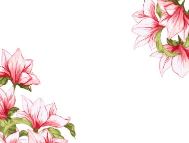 Manolya çiçek çerçeveli