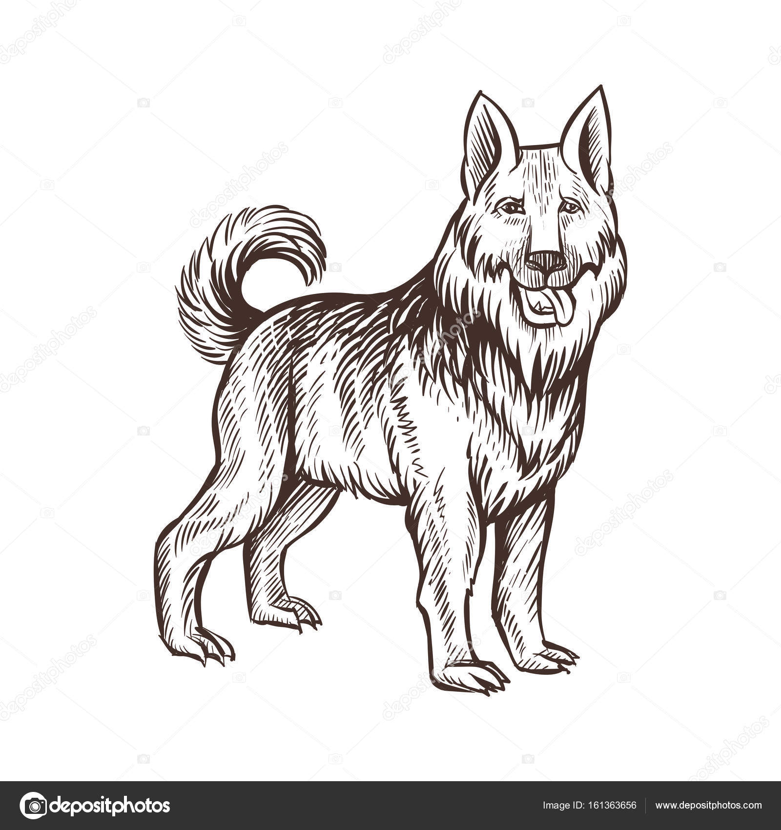 Dessin Animaux De Garde Chien Ferme Image Vectorielle