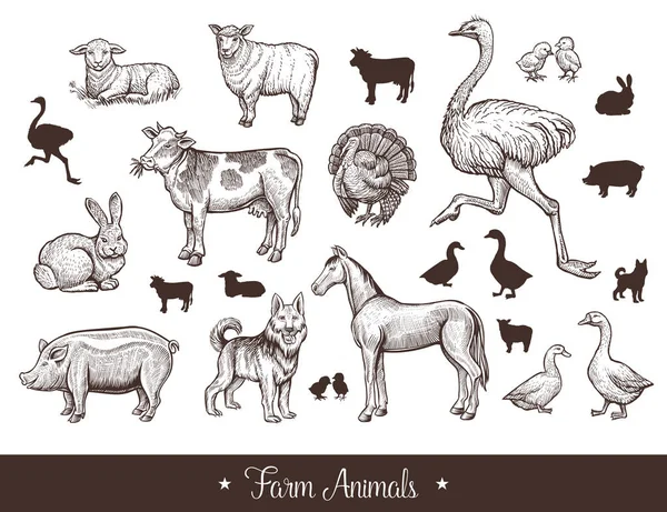 Farm animals handdrawn vintage set — Stock Vector