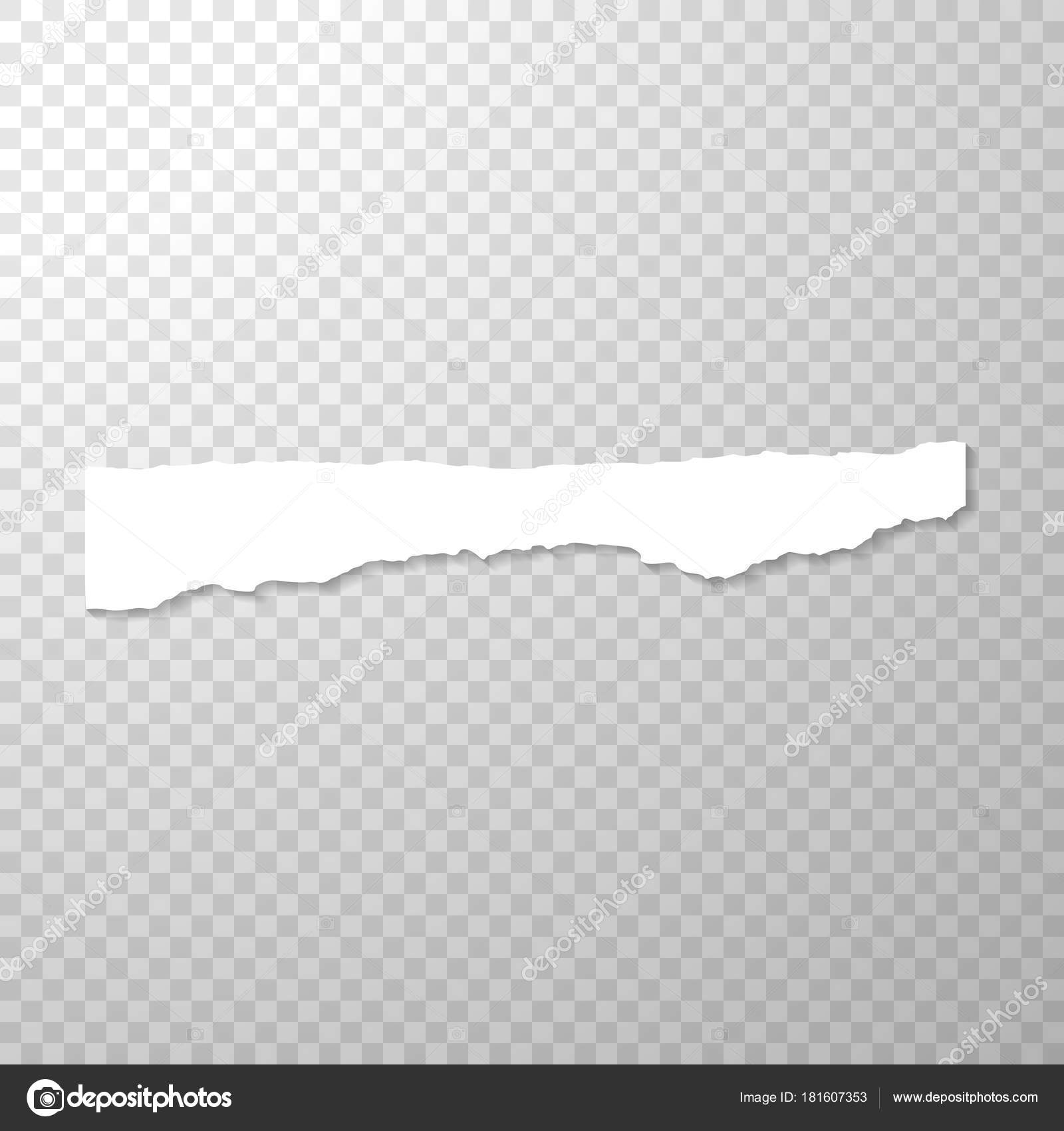 Long Horizontal Torned Piece Paper Empty Isolated Paper Edge Transparent Stock Vector Image By C Ilonitta Long Horizontal Torned Piece Paper Empty Isolated Paper Edge Transparent Stock Vector Image By C Ilonitta