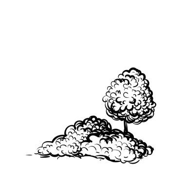 Ağaç ve çalıları beyaz zemin üzerine çizilmiş kroki tarzı illüstrasyon ver. Siyah ve beyaz vektör tek renkli anahat görüntü bitkiler