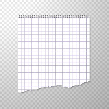 Yırtık parça bir sarmal kare kağıt defter bağlı. Temiz ya da boş sayfa üzerinde şeffaf arka plan izole. Parça beyaz kağıdı yırtılmış. Kare içinde albüm sayfası için çizim veya sanatsal Eskizler. Vektör çizim ile boş bağlayıcı kağıt