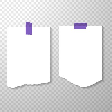 Torned mor çıkartmaları ile sayfalarından boş. Yırtık kağıt parçaları. Temiz ya da boş sayfaları üzerinde şeffaf arka plan izole. Vektör çizim boş cilt beyaz kağıt Mockup ile