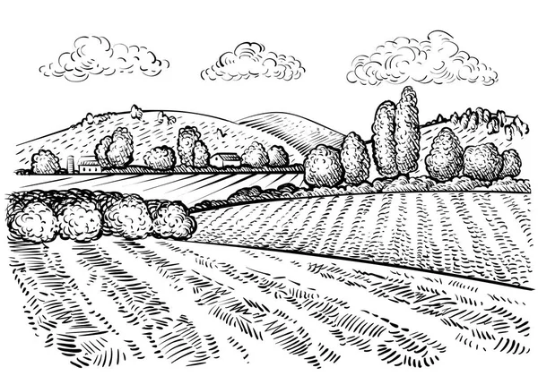 Paysage Rural Dessin Main Illustration Style Croquis Illustration Dessinée Main — Image vectorielle