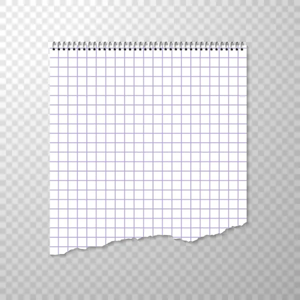 Σχισμένο Κομμάτι Τετράγωνο Χαρτί Από Σπείρα Δεσμεύεται Notebook Καθαρίστε Κενή — Διανυσματικό Αρχείο