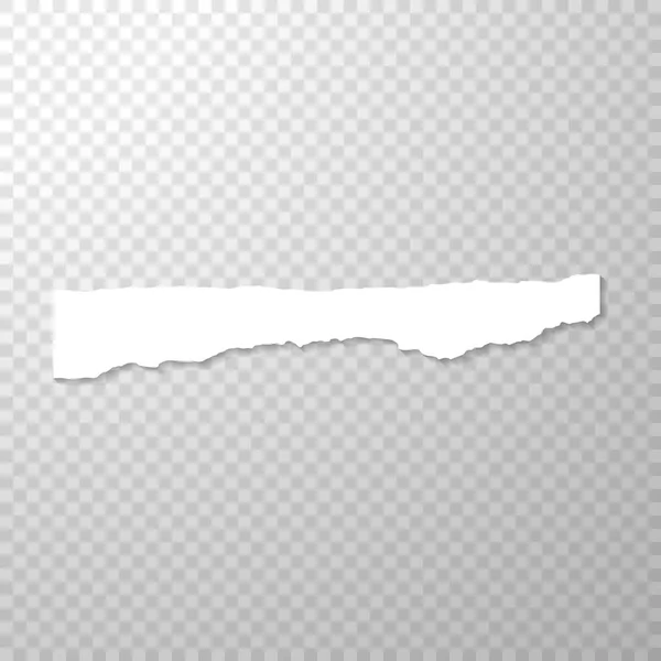 Длинный Горизонтальный Оторванный Кусок Бумаги Пустой Изолированный Бумажный Край Прозрачном — стоковый вектор