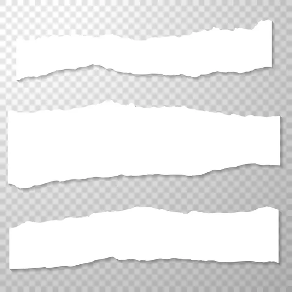 Long Horizontal Torned Piezas Papel Borde Papel Aislado Vacío Establecido — Vector de stock