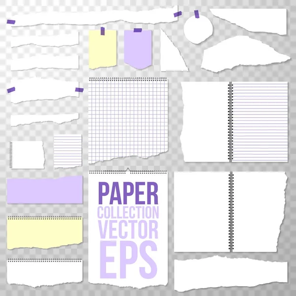 从螺旋装订笔记本撕碎的纸 在透明背景上隔离的或空白的页面 撕下活页夹白色 方形和衬里的文件 黄色和紫色 — 图库矢量图片