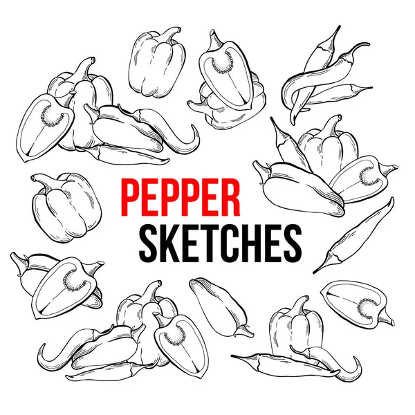 Peppers Vegetarian Food Vegetable Handdrawn Sketch Isolated White Background Different — Stock Vector