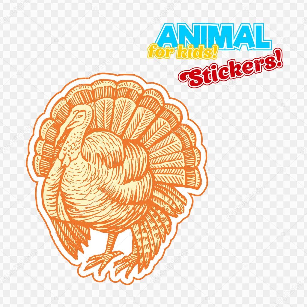 Farm animal turkey in sketch style on colorful sticker. Isolated on transparent background. Can be used for cute coloring book for children. Include silhouette for paper cutting