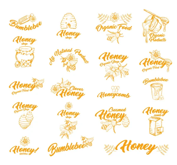 Isolierte Logos Für Honigflaschen Oder Behälter — Stockvektor