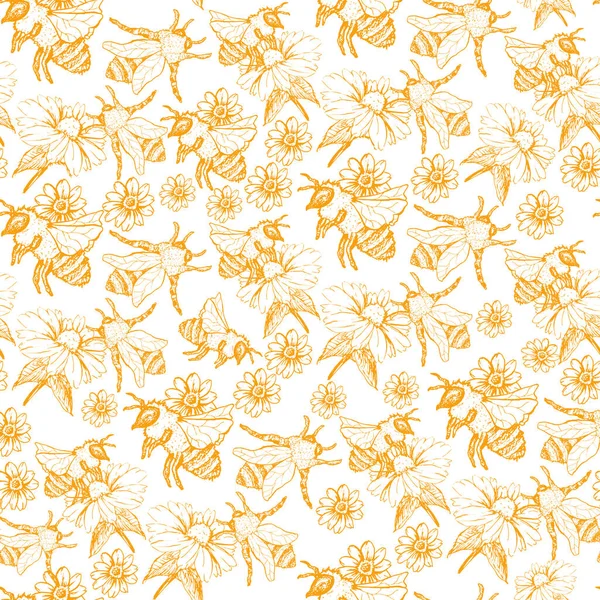 Honey Bee Seamless Pattern Isolato Sfondo Bianco — Vettoriale Stock