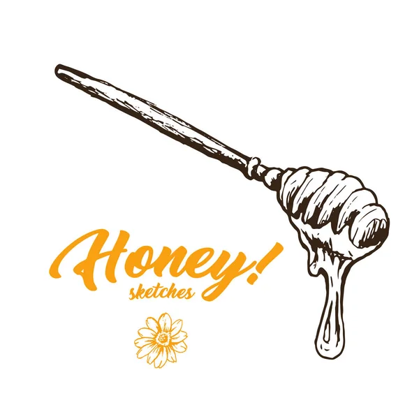 Honey Spoon Sketch Aislado Sobre Fondo Blanco — Vector de stock