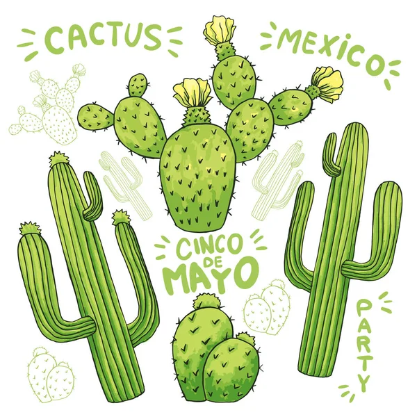 Ensemble Cactus Mexicains Avec Épines Fleurs Isolées Sur Fond Blanc — Image vectorielle