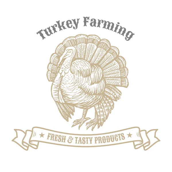 Emblème Turquie Isolé Sur Fond Blanc — Image vectorielle