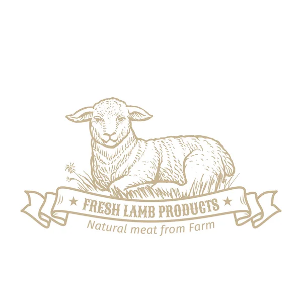白色背景羔羊的会徽 — 图库矢量图片