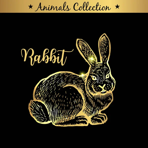 Золотой Контур Кролик Черном Фоне — стоковый вектор