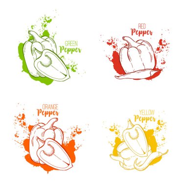 Suluboya sıçraması ile izole dilimlenmiş Bulgar biber ayarla.