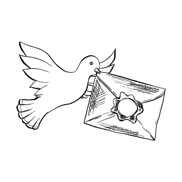 Pomba Pássaro Voando Com Envelope Estilo Esboço —  Vetores de Stock