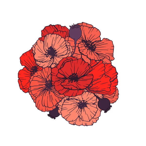 Bouquet Coquelicots Rouges Isolé Sur Fond Blanc — Image vectorielle