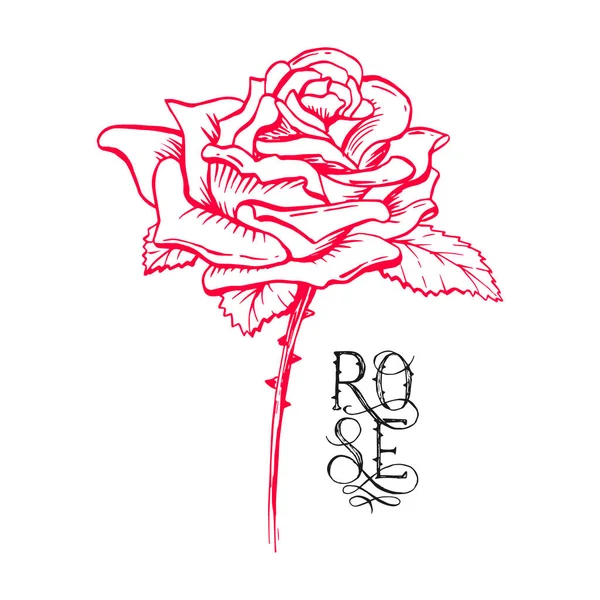 Κόκκινο Τριαντάφυλλο Μπουμπούκι Στυλ Σκίτσο — Διανυσματικό Αρχείο