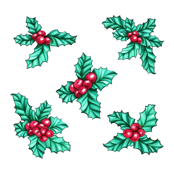 圣诞浆果冬青或紫丁香 里斯的圣诞水果 冬天的落叶装饰 圣诞浆果传统符号集 — 图库照片