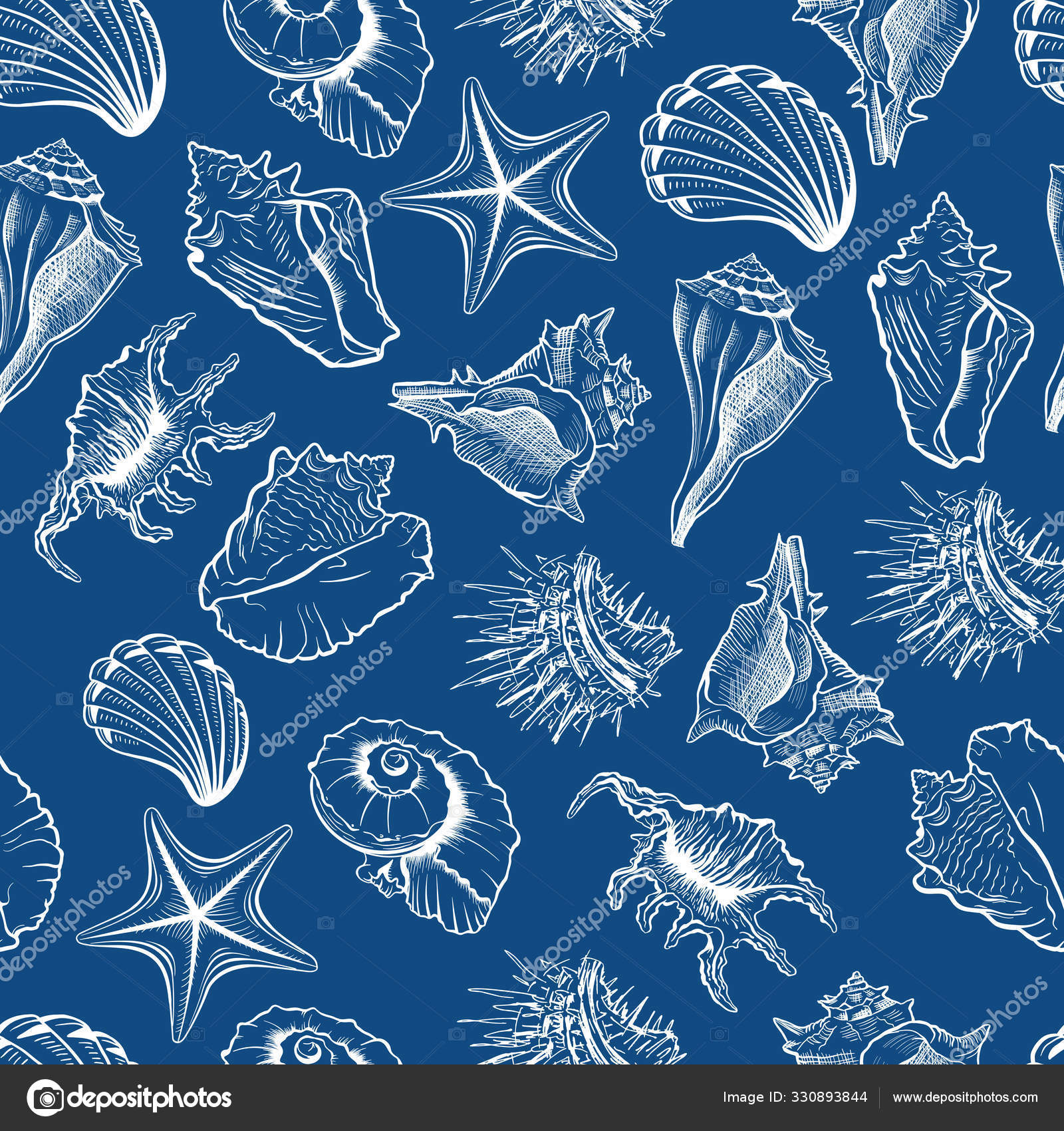 Muscheln Und Seesterne Vektor Nahtlose Muster Meereslebewesen Bunte  Zeichnungen Seeigel Stock-Vektorbild von ©ilonitta 330893844, image size:1600x1700
