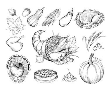 Şükran Günü el çizimi vektör sembolleri ayarlandı. Doğal yiyecekler, sebzeler ve geleneksel yemek çizimleri. Çiftçi pazarı. Balkabağım, hindi pişirilmiş tavuk ve turta monokrom çizimler paketi.