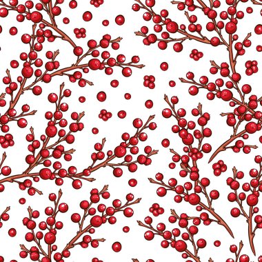 Kızıl Avrupalı Holly Ilex meyveleri kusursuz vektör deseni.