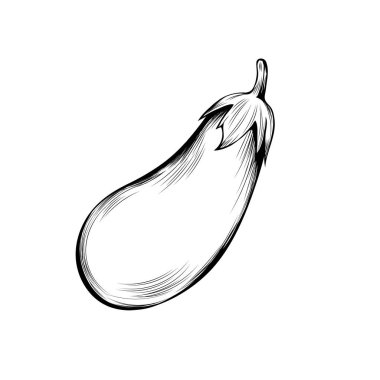 Olgun patlıcan boyama kitabı vektör çizimi