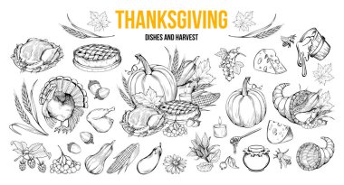 Şükran Günü boyama kitabı çizimleri. Geleneksel sonbahar bayramı kutlaması için el çizimleri. Sonbahar hasadı, doğal sebzeler. Hindi, balkabağı, bal ve turta monokrom çizimleri