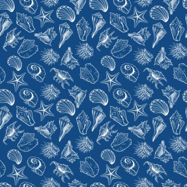 Deniz kabukları ve deniz yıldızı vektörleri kusursuz desen. Deniz canlılarının renkli çizimleri. Deniz kestanesi özeti. Su altı hayvanlarının oyması. Duvar kağıdı, ambalaj kağıdı, tekstil tasarımı