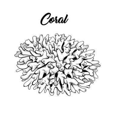 Mercan siyah ve beyaz el çizimi. Deniz hayatı, deniz resifleri, vahşi yaşam çizimi boyama kitabı için. Akvaryum dekorasyonu monokrom oyması. Tüplü dalış kulübü poster tasarımı ögesi